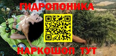 spice Дубна